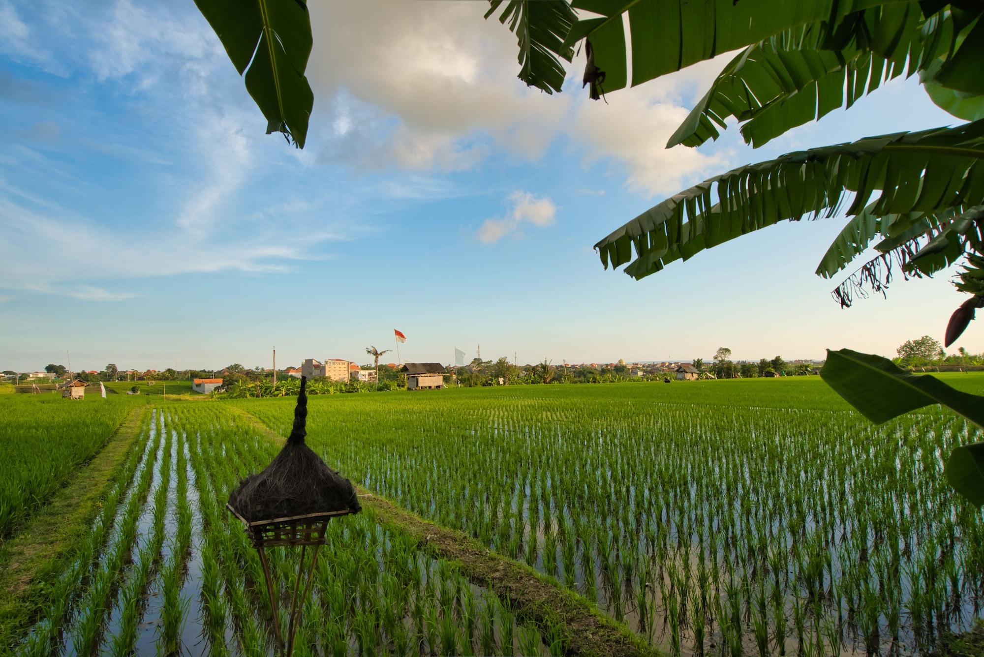 Sotis Villas Canggu  Ngoại thất bức ảnh